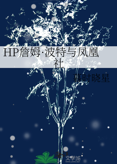 关于hp詹姆波特小说