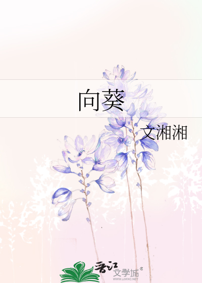 向葵向川的小说完结版