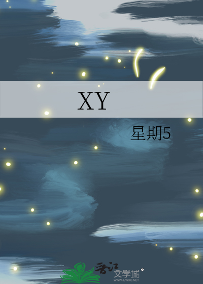 xy是什么意思