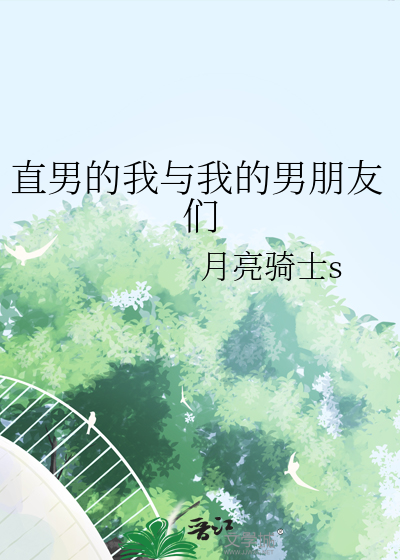 我的男友是直男by