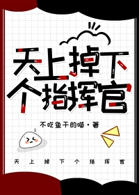 天上掉下个指挥官by