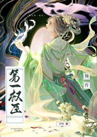 魏晋第一权臣作者召闵
