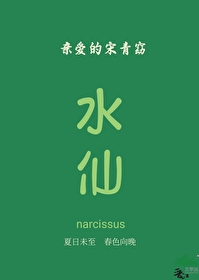 亲爱的宋青窈gl小说免费阅读