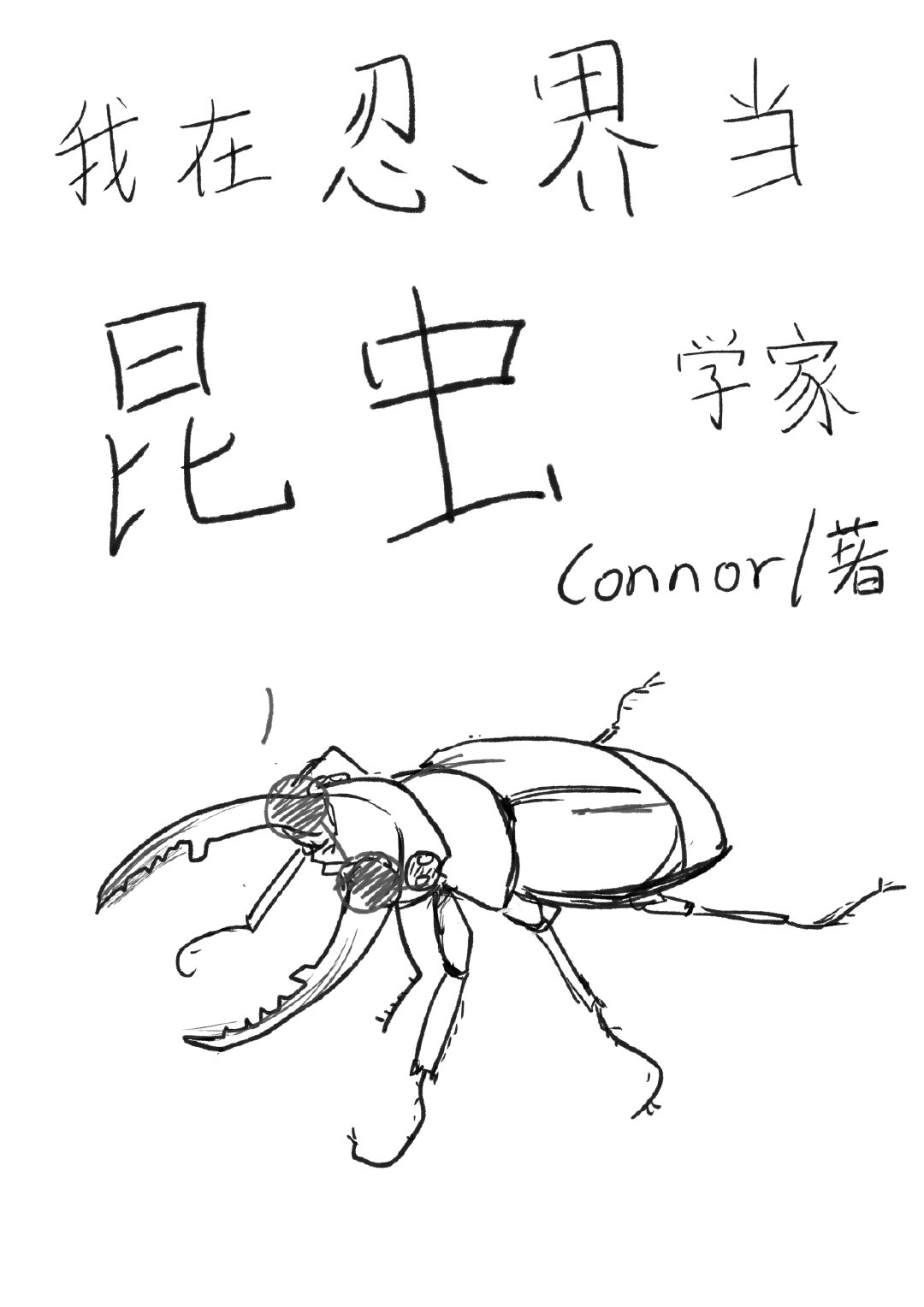 我在忍界当昆虫学家小说