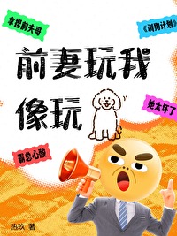 前妻玩我笔趣阁免费阅读全文