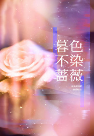 暮色微光什么意思