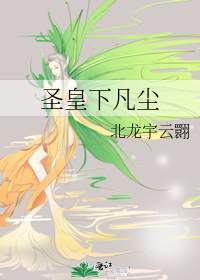 小说 圣皇