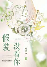 假装没看你小说百度网盘