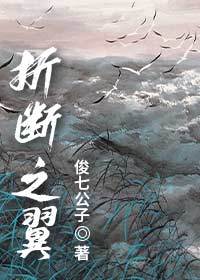 折断之翼柒休觐
