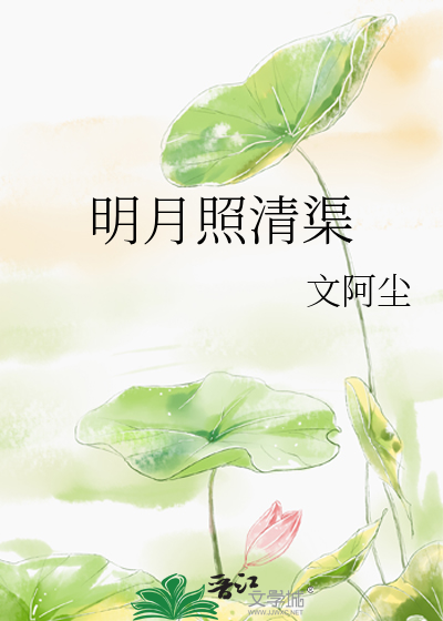明月照清渠小说