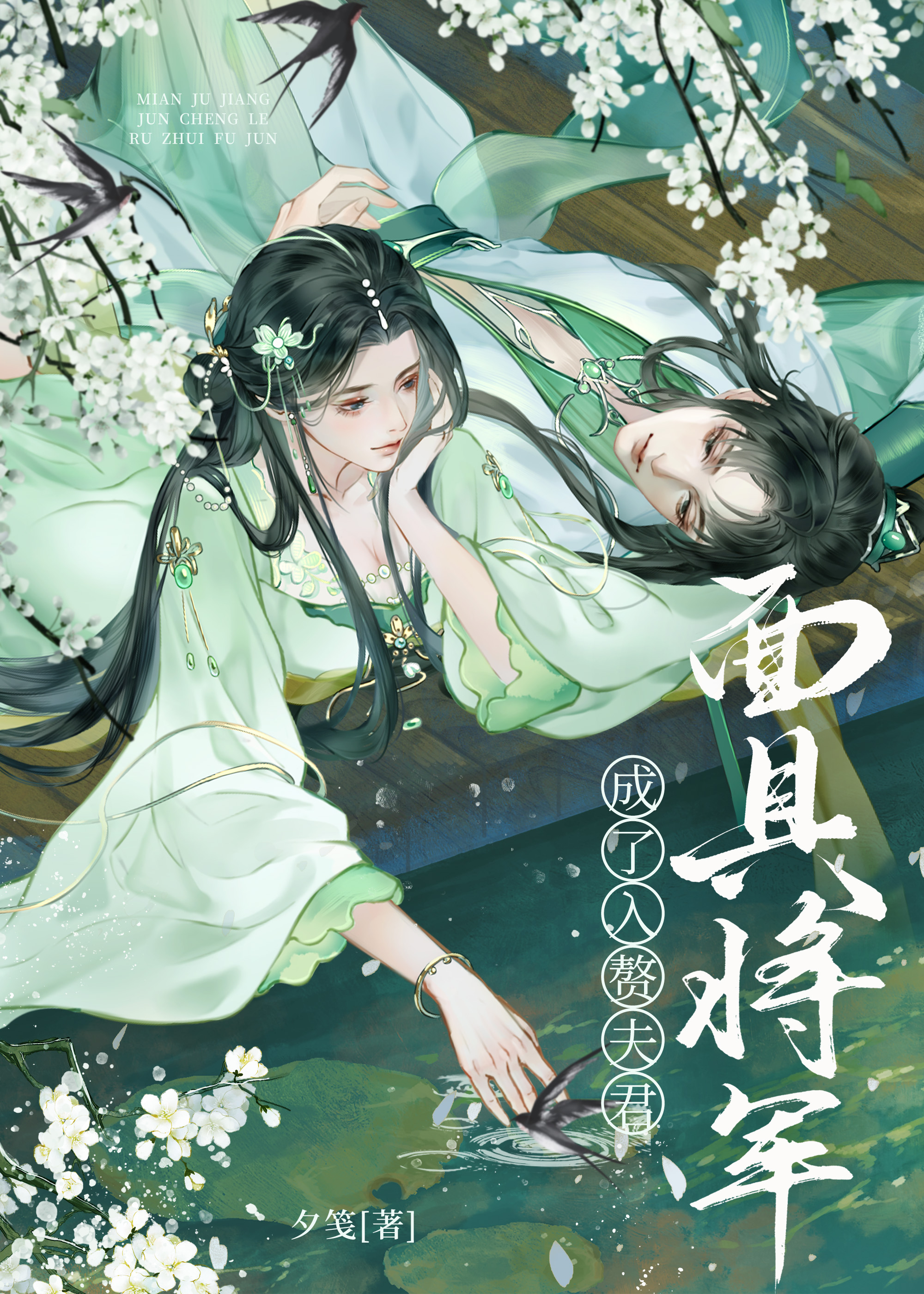 戴面具的将军的小说
