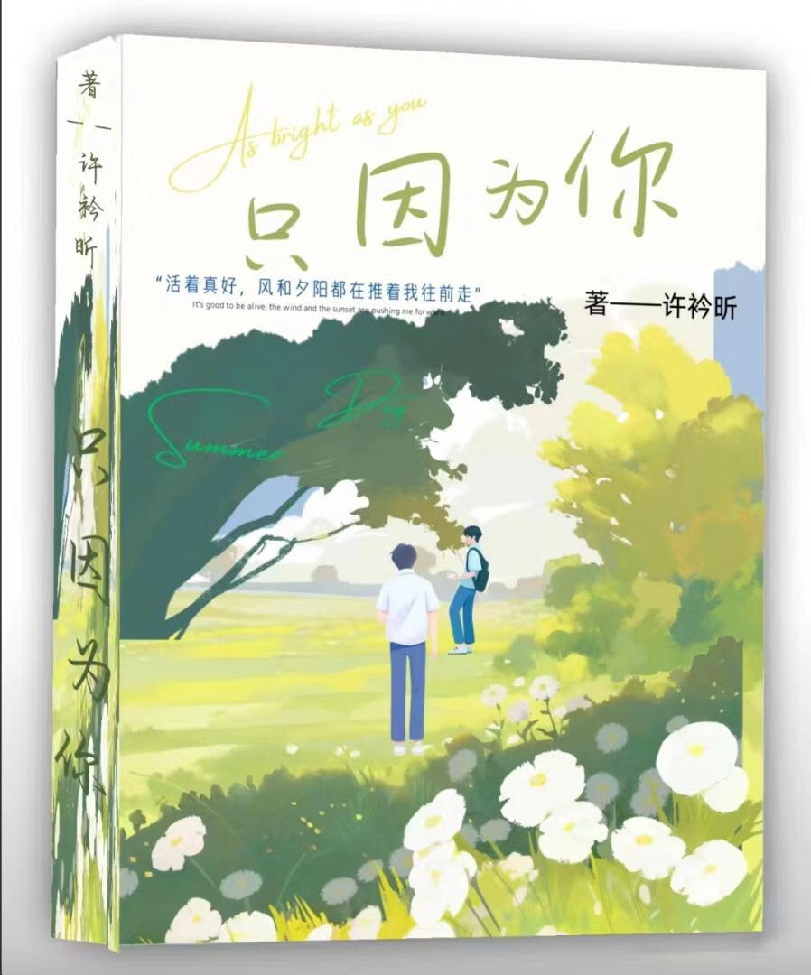 只因为你歌曲