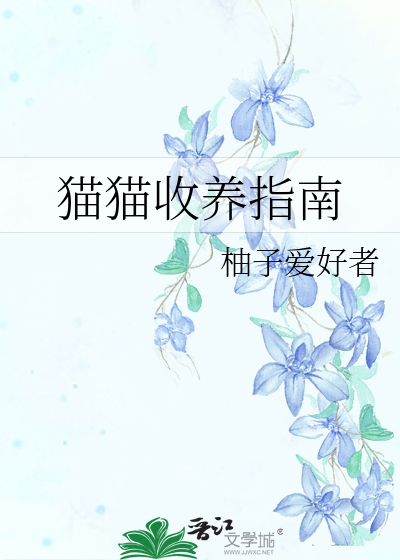 收养猫猫好不好