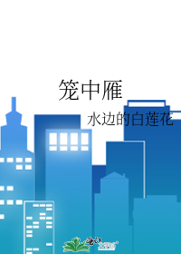 笼中雁刘琮赵燕燕