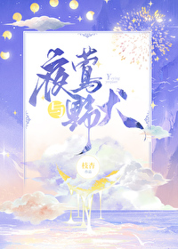 夜莺与野犬小说