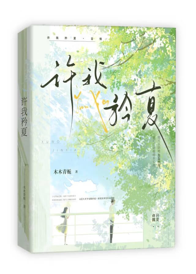 《许我摘星》作者:弦意