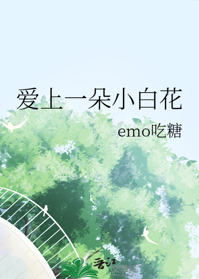 一朵小白花的作品集