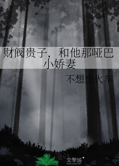 财阀家的小儿子 小说