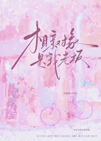 相亲对象是我老板免费阅读