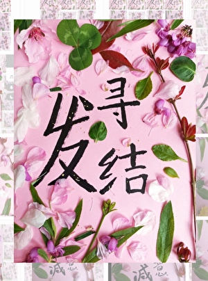 综漫之恋爱收集