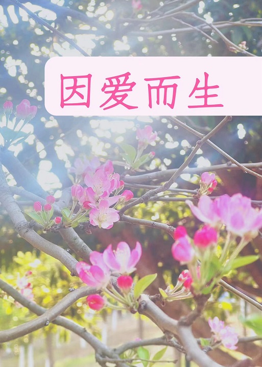 因爱而生广告