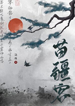 我的险恶夫人