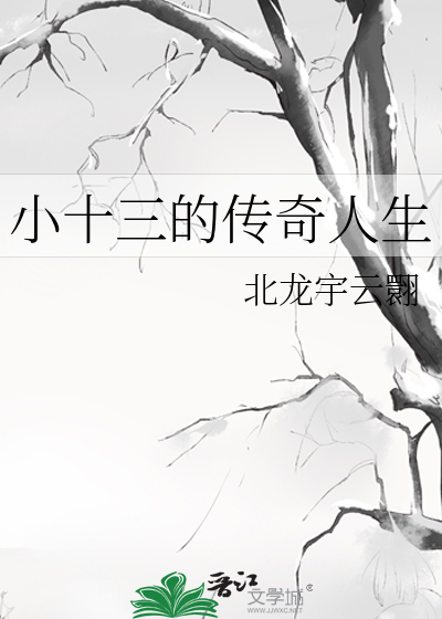 电视剧小十三是谁