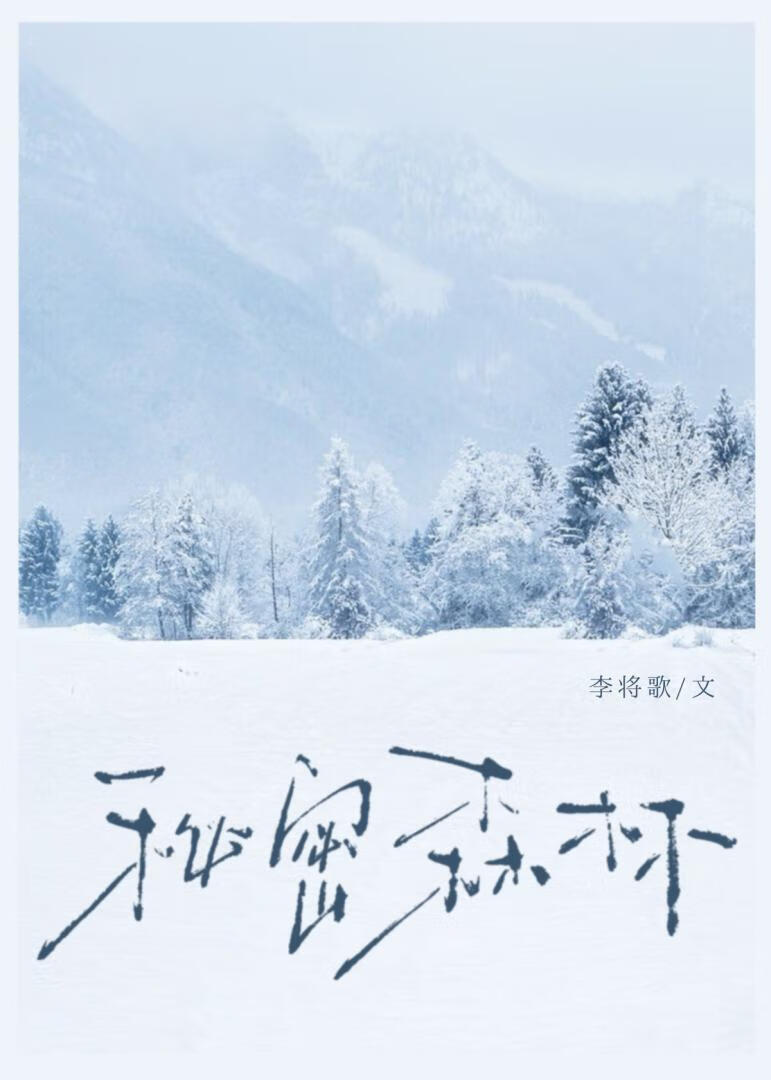 秘密森林[破镜]