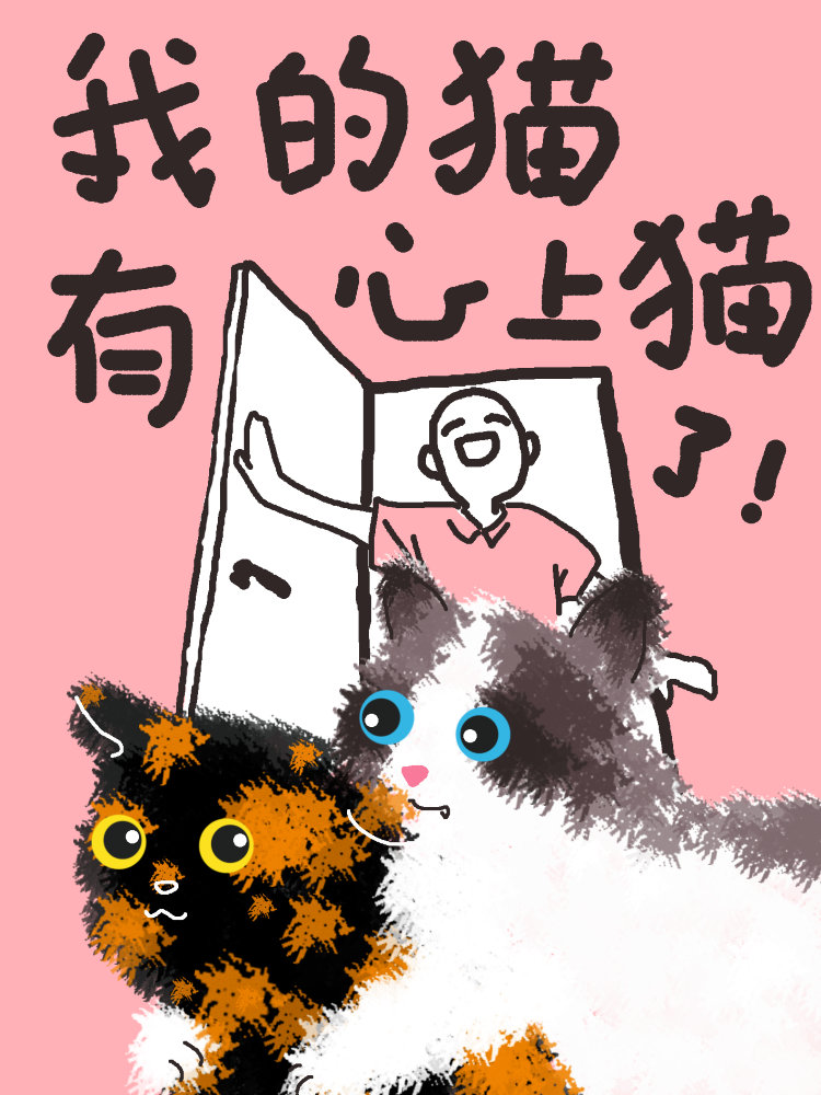 我的心上人是猫