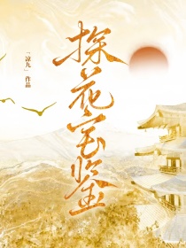 [综武侠]探花宝鉴