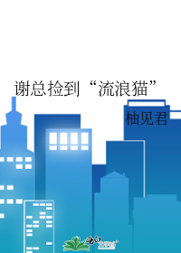 谢总捡到“流浪猫”