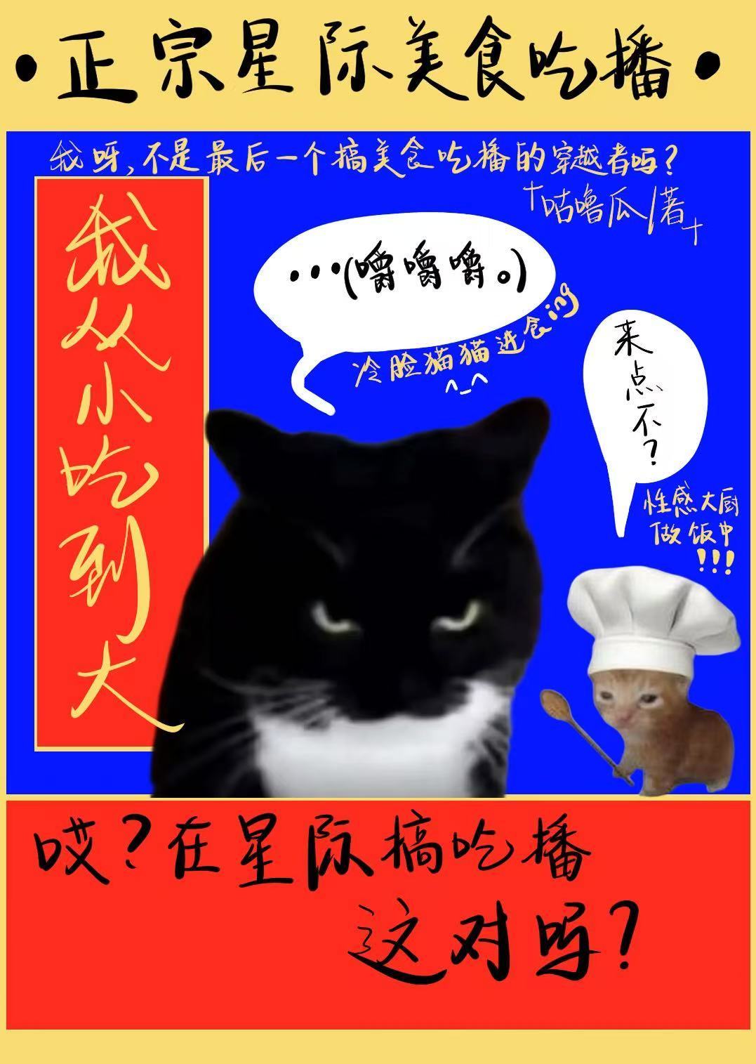 穿越星际，美貌男厨送上门