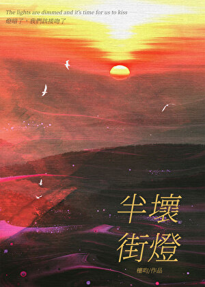 半坏街灯