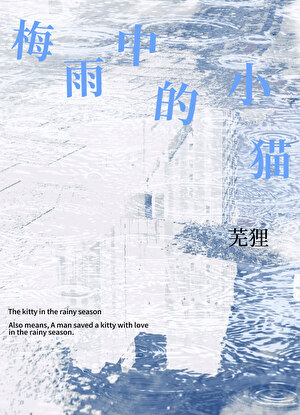 梅雨中的小猫