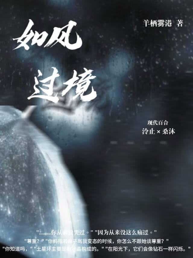 入风过境