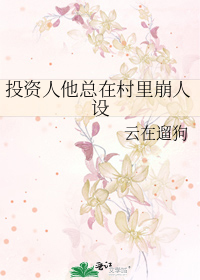 投资人他总在村里崩人设
