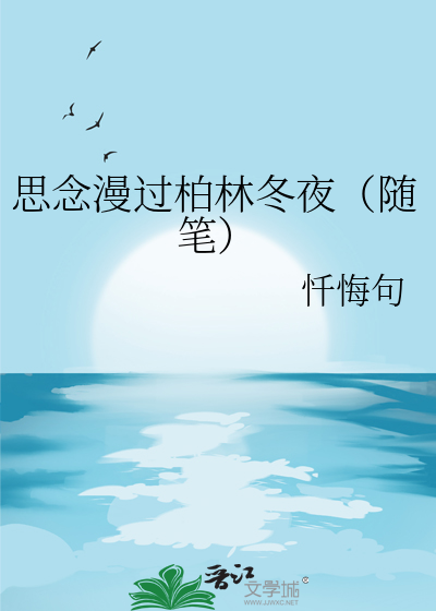 思念漫过柏林冬夜（随笔）