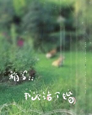 稍等，我先结个婚！