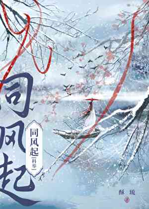 同风起（科举）