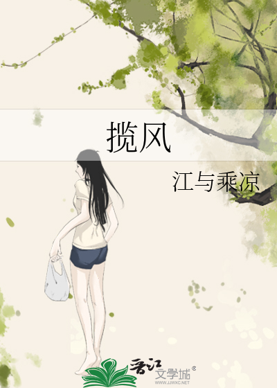 揽风