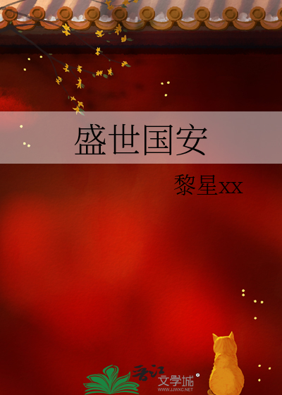 盛世国安