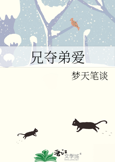 兄夺弟爱