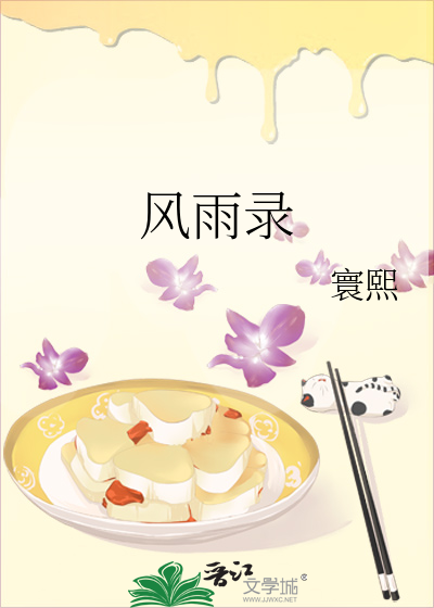 风雨录