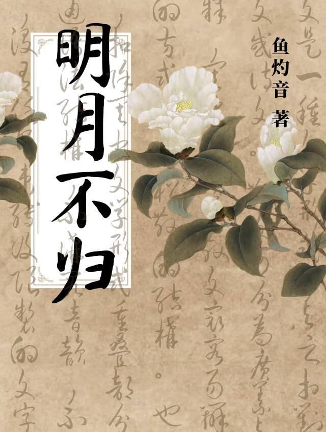 明月不归