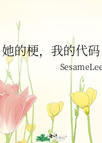 她的梗，我的代码