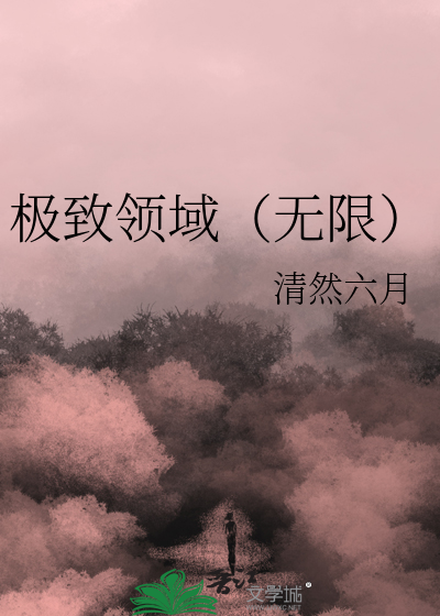 极致领域（无限）