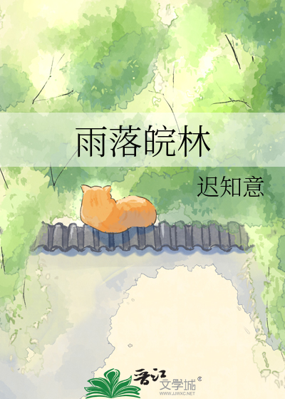 雨落皖林