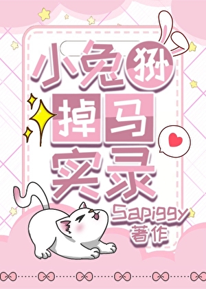 小兔狲掉马实录