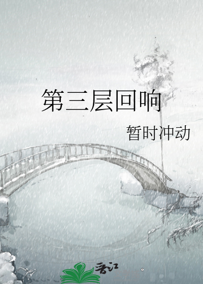 第三层回响