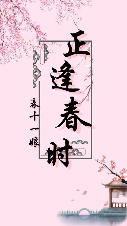 南边来的表姑娘